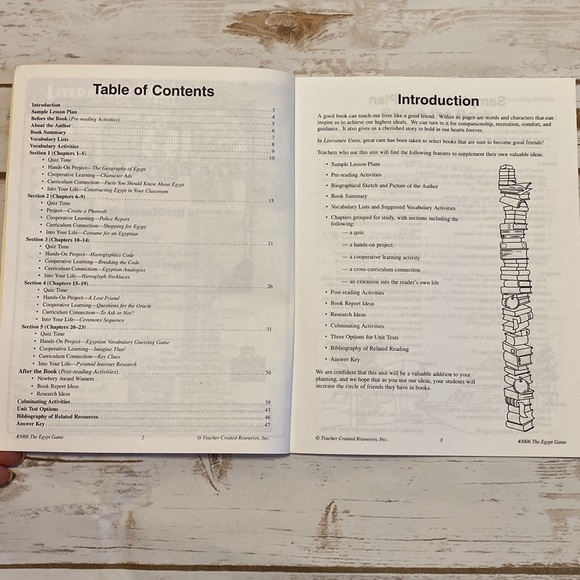 The Egypt Game Unit Study and Novel - Picture 7 of 8